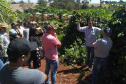 IDR-Paraná incentiva produção de frutas orgânicas em Arapongas