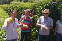 IDR-Paraná incentiva produção de frutas orgânicas em Arapongas