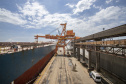 Paraná registra o maior crescimento do Brasil nas exportações no 1º trimestre de 2023