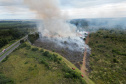 IAT finaliza queima controlada contra espécies invasoras no Parque de Vila Velha