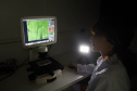 Matéria especial Samar - HPV UEM