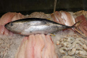 Sesa orienta sobre cuidados ao escolher o pescado para a Sexta-feira Santa   