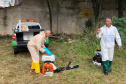 Vigilância Ambiental da Sesa é referência nacional em procedimentos técnicos no combate à dengue