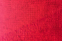 MON realiza exposição individual de Leila Pugnaloni