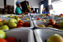 Banco de Alimentos