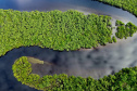 Criada pela Organização das Nações Unidas (ONU), o Dia Internacional da Biodiversidade busca conscientizar a população da respeito importância da diversidade biológica em todos os ecossistemas