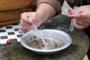 Sesa alerta para sintomas da dengue e importância do tratamento adequado 