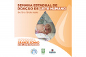 Na semana estadual de doação de leite humano, Secretaria da Saúde busca ampliar número de doadoras