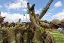 bombeiros