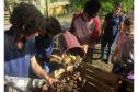 Portos do Paraná instala duas novas composteiras em escolas da Ilha do Mel