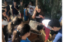 Portos do Paraná instala duas novas composteiras em escolas da Ilha do Mel