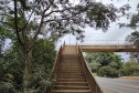 pontes