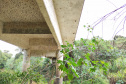 Pontes Ibaiti