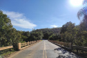 pontes
