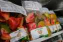 Banco de Alimentos