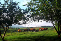 Rancho Zulian