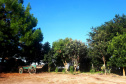 Rancho Zulian