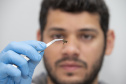 Técnicos do Tecpar analisam as amostras coletadas de abelhas mortas e favos  para  identificar se há resíduos de agrotóxicos.