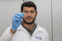 Técnicos do Tecpar analisam as amostras coletadas de abelhas mortas e favos  para  identificar se há resíduos de agrotóxicos.