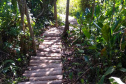 Turismo Rural - Caminho das Águas
