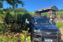 Polícia Militar recupera mais de R$ 210 mil após roubo a agências bancárias em Sulina