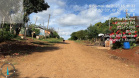 laranjal