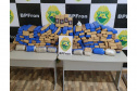 Polícia Militar apreende mais de meia tonelada de droga em ocorrências distintas