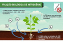 Fixação biológica de nitrogênio gera lucro e benefício ambiental