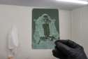 Museu da Imagem e do Som do Paraná resgata e cataloga acervo do extinto estúdio Foto Brasil