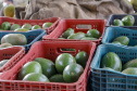 AGRO