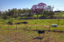 Em agosto, o Instituto Água e Terra (IAT) começa a utilizar em três regionais o módulo de Análise Dinamizada do SICAR Nacional para automatizar a etapa de conferência dos cadastros de imóveis rurais.