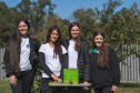 Colégio Agrícola da Lapa abraça projeto de abelhas nativas e leva tema às aulas
