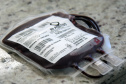 Dia do Doador de Sangue: Sesa ressalta a importância do ato solidário 