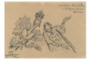 MON realiza a exposição “Serguei Eisenstein e o Mundo” 