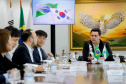 Reunião celepar e corea