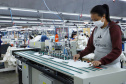 Com 5,3 mil colocações na rede Sine, Paraná liderou geração de empregos para mulheres em maio