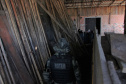 Polícia Militar apreende mais de 490 metros cúbicos de madeira ilegal durante operação