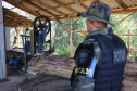 Polícia Militar apreende mais de 490 metros cúbicos de madeira ilegal durante operação