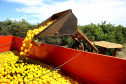 AGRI
