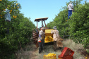 AGRI