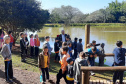 semana ambiental