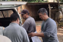 Captura de aranha-marrom garante produção de soro antiloxoscélico no Paraná 