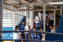 Aulas na rede estadual de ensino vão até quinta-feira (6)