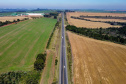 Com protagonismo ambiental, Paraná é o terceiro estado mais competitivo do Brasil