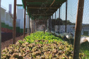 Projeto Semear, da Polícia Penal do Paraná, fornece alimentação orgânica a crianças de escola municipal em Foz do Iguaçu