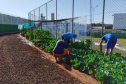 Projeto Semear, da Polícia Penal do Paraná, fornece alimentação orgânica a crianças de escola municipal em Foz do Iguaçu