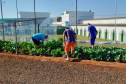 Projeto Semear, da Polícia Penal do Paraná, fornece alimentação orgânica a crianças de escola municipal em Foz do Iguaçu