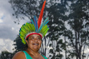 INDÍGENAS