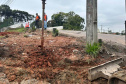  Viaduto de Curitiba recebe novos passeios para pedestres 
