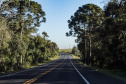 Lote 1 da nova concessão terá 156 km de duplicação na BR-277, entre Curitiba e Prudentópolis. BR-277 com BR-373.